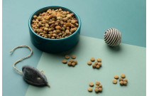 Cat food  