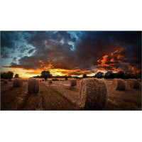 Samsung Professional monitor VM55B-U 55 inch Video Wall Mat 24h/7 500(cd/m2) 1920 x 1080(FHD) N/A 3 years On-Site (LH55VMBUBGBXEN)