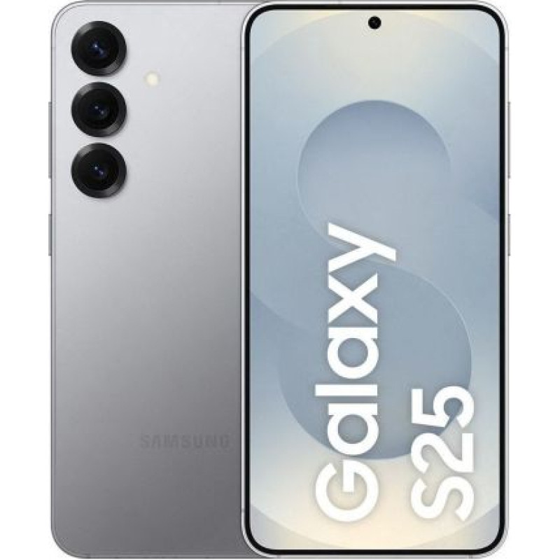 Samsung SM-S931B Galaxy S25 5G 12GB RAM 256GB EE Silver Shadow EU