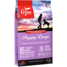 Orijen Puppy Large - dry dog food - 11,4kg