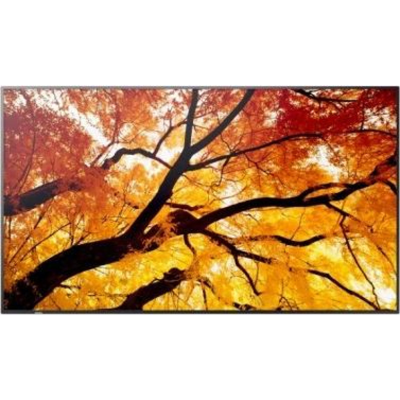 Sharp Display MultiSync M322 32-inch 24/7