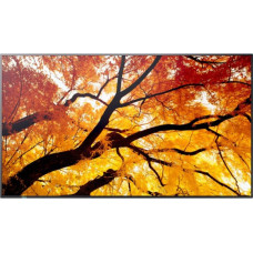NEC Monitor NEC Ekran MultiSync M502