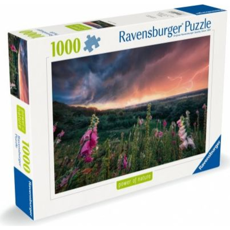 Ravensburger Polska Puzzle 1000 pieces Sthorm