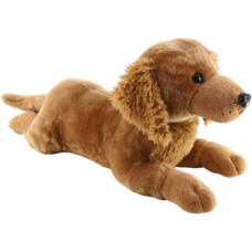 Madej Dog Golden lying down 60 cm