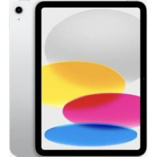 Apple IPAD WF CL 256GB SLV