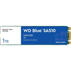 WD Western Digital Blue SA510 1 TB M.2 Serial ATA III