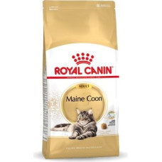 Royal Canin FBN Maine Coon Adult dry cat food - 10kg