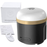 Ecoflow camping light