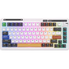 Royal Kludge KZZI K75 pro RGB wireless mechanical keyboard, Moment Switch (black and white) (QWERTY)